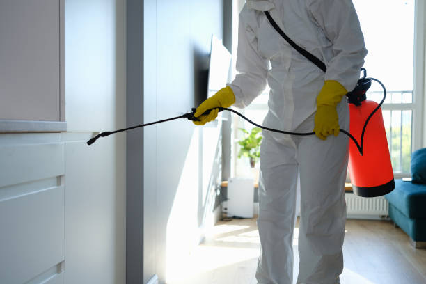 Why You Should Choose Our Mold Remediation Services in Powderly, TX